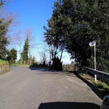 Il Piccolo Lord Apartamento La Spezia Exterior foto